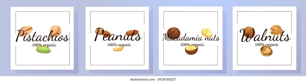 A set of flat illustrations of nuts: almonds, walnuts,cashews,pistachios,pecans,hazelnuts, brazil nuts, macadamia nuts,pine nuts, chestnuts peanuts and coconuts.