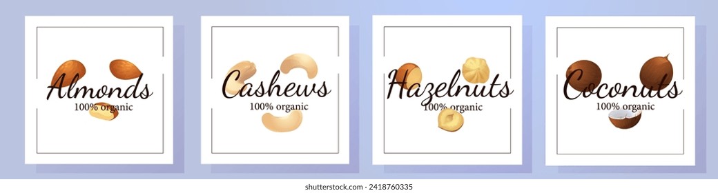 A set of flat illustrations of nuts: almonds, walnuts,cashews,pistachios,pecans,hazelnuts, brazil nuts, macadamia nuts,pine nuts, chestnuts peanuts and coconuts.