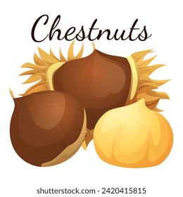 A set of flat illustrations of nuts: almonds, walnuts,cashews,pistachios,pecans,hazelnuts, brazil nuts, macadamia nuts,pine nuts, chestnuts peanuts and coconuts.