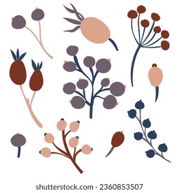 Conjunto de ilustraciones aisladas planas de bayas de otoño en colores cálidos de otoño. decoración vectorial a mano para scrapbookear, cubiertas textiles o de libros, fondos de pantalla, arte gráfico, impresión, hobby, invitación.