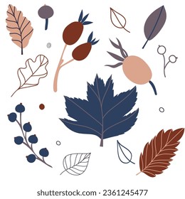 Set of flat isolated illustration of leaves and berries in cozy autumn colors. hand drawn vector decor for scrapbooking, textile or book covers, wallpapers, graphic art, printing, hobby, invitation.
