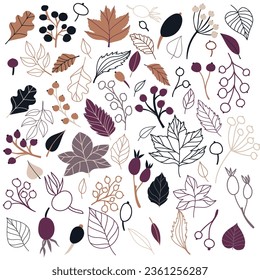 Set of flat isolated illustration of leaves and berries in cozy autumn colors. colored flat vector decor for scrapbooking, textile or book covers, wallpapers, graphic art, printing, hobby, invitation.