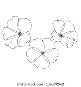 Set of flat lines of flowers for decoration. Vector line icons.