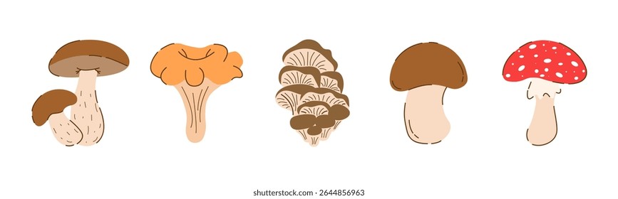 Set Flat Cogumelos Comestíveis e Venenosos, Champignon, Birch Boletus, Chanterelles, Cogumelos Ostras, Fly Agaric Isolado no fundo branco. Autumn Vegetarian Elements in Modern Trendy Cartoon Style (em inglês). 