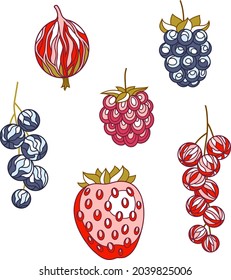 Set von flachen ornamentierten Beeren einzeln auf Weiß. Vektor Erdbeere, roter Strom, Himbeere, Stachelbeere und schwarzer Strom.
