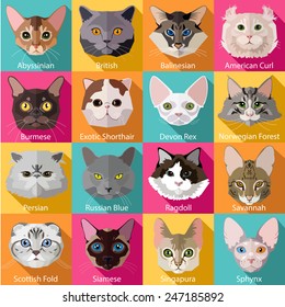 Set of flat popular breeds of cats icons. Vector illustration.