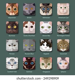 Set of flat popular Breeds of Cats icons. Vector illustration.