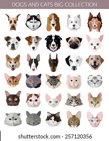 Set of flat popular Breeds of Cats and Dogs icons. Vector illustration.