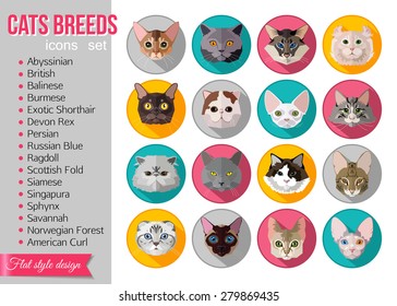 Set of flat popular breeds of cats icons. Vector illustration.