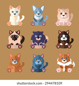 Set of flat popular breeds of cats icons. Vector illustration.