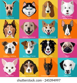 Set of flat popular breeds of dogs icons. Vector illustration.