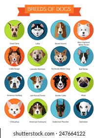 Set of flat popular breeds of dogs icons. Vector illustration.