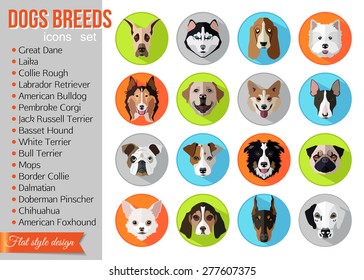 Set of flat popular breeds of dogs icons. Vector illustration.