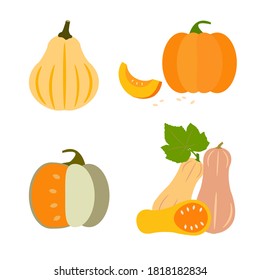 Set of flat pumpkins. harvest time. Vector illustration
