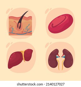 set of flat realistic human body parts