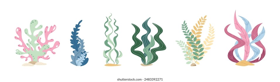 Set of flat seaweed on a white background. Vector illustration of aquatic plants in doodle style. Suitable for decoration, sticker design