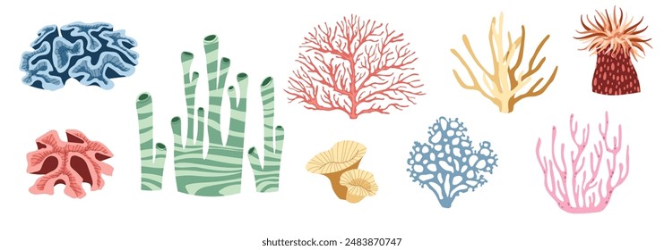 Set of flat seaweeds, corals, reefs on a white background. Vector illustration of aquatic plants in doodle style. Suitable for decoration, sticker design