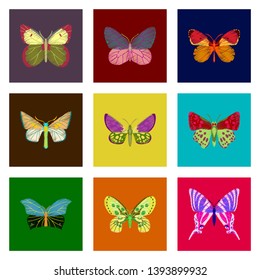 set of flat shading style icon butterfly