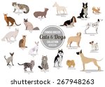 Set of flat sitting or walking cute cartoon dogs and cats. Vector illustration