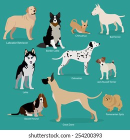 Set of flat sitting or walking cute cartoon dogs. Vector illustration.