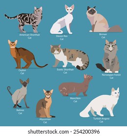 Set of flat sitting or walking cute cartoon cats. Vector illustration.