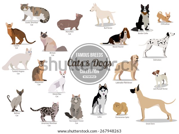可愛い漫画の犬と猫が平座ったり歩いたりするセット ベクターイラスト のベクター画像素材 ロイヤリティフリー
