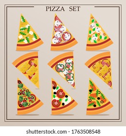 A set of flat slices of pizza. Vector illustration of assorted pizza. Cut pieces of an Italian dish with tomatoes, chicken, salami, salmon, cheese, pepper, chili, onion, arugula, Basil and mushrooms