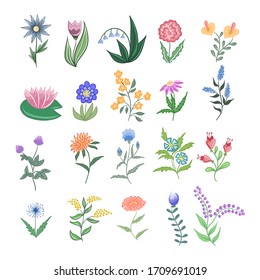 Set of flat spring floral icons in silhouette isolated on white. Cute illustrations in bright colors for stickers, labels, cards, invitations, tags, scrapbooking. Vector illustration.