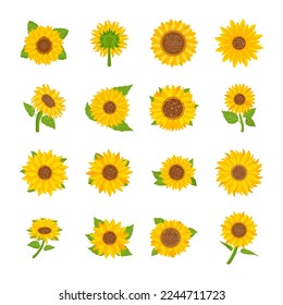 
Set of Flat Spring Flower Vectors 

