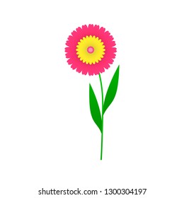 Set of flat Spring  flowers collection isolated on white