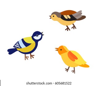 Set of a flat style colorful birds. Tit, canary, finch