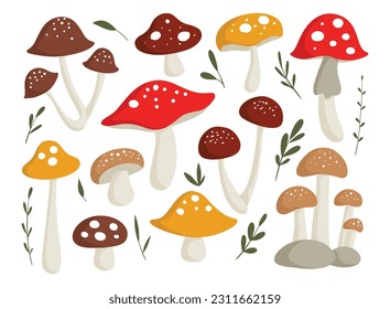 Set of flat style doodle illustration of mushroom design element