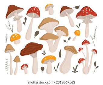 Set of flat style doodle illustration of mushroom design element