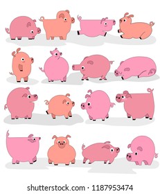 Set of flat style pigs. Illustration of funny pigs.