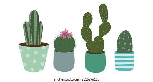 Set of Flat Style Vector Cactus. Collection of Isolated Room Plants. Icon illustrations, interior design, prints