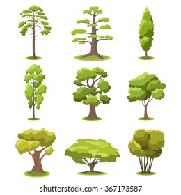 Set of flat stylized trees. Natural vector illustration. Side view