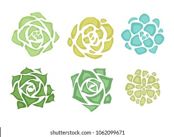 Set of flat succulents with a top view on a white background. Vector element for your creativity