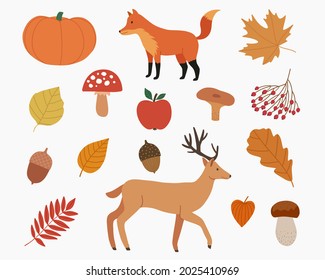 Set of flat symbols of autumn. Cute autumn drawn attributes. Leaves, deer, fox, rowan, mushrooms, apple, pumpkin, acorns. Vector illustration.