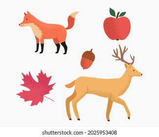 Set of flat symbols of autumn. Cute autumn drawn attributes. Leaf, deer, fox, apple, acorn. Vector illustration.