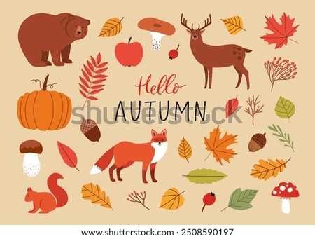 Set of flat symbols of autumn. Cute autumn nature isolated drawn elements. Leaves, squirrel, bear, deer, fox, rowan berry, mushrooms, apple, pumpkin, acorns, trees. Vector illustration