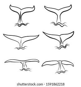 Set of flat tail whale drawn line fin logo with waves icon illustration design isolated on white background.