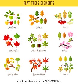 Set Of Flat Trees Elements. Apple Tree, Oak Tree, Rowan, Red Maple, Horse Chestnut Tree, Sakura, Ginkgo Biloba, Japanese Maple, Birch. Vector Illustration