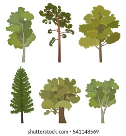 set of flat trees for infographics