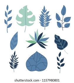 Set of flat tropical leaves isolated on white background. Different forms and shapes. Ideal for art brush. For decorating. 