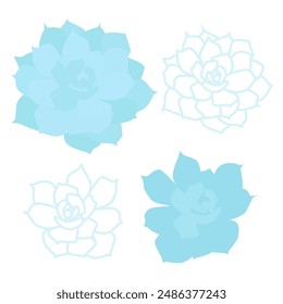 Set of flat vector blue Echeveria succulents and in lines