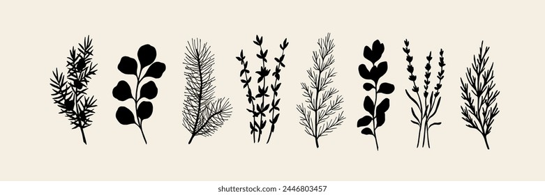 Set of flat vector essential oil plants