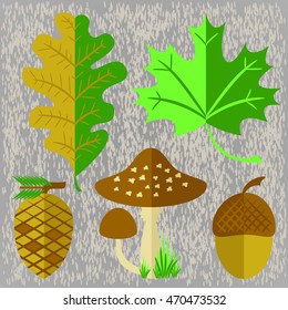 Set of flat vector forest elements