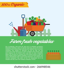 Set of flat vector garden elements. Fresh farm vegetables. Cartoon icons. Agriculture illustration. Nature healthy plant. Organic design