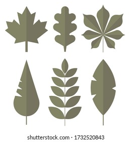 Set of flat vector illustration of green leafs. Tree elements for greeting cards, posters, stickers and professional design. Eps 8.