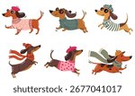 A set of flat vector illustrations in a childlike style. Cute dachshunds run and jump wearing different sweaters, hats, glasses, and berets. 